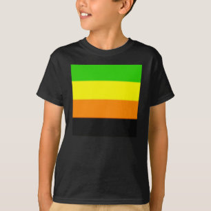 T-shirt Drapeau de la Fierté Aromantique
