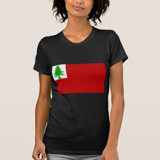 T-shirt Drapeau de la Nouvelle Angleterre (Devant)