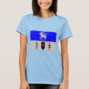 T-shirt Drapeau de län de Jämtlands