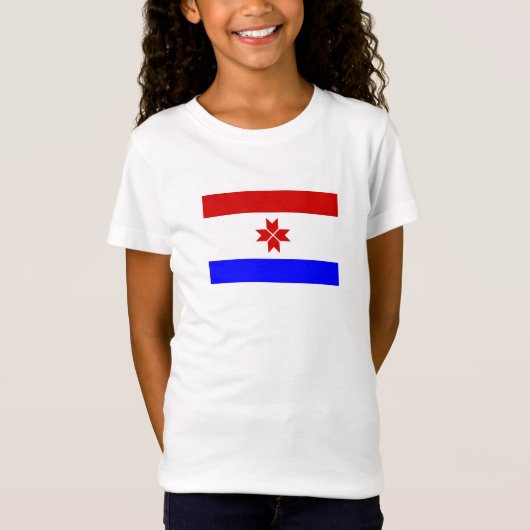 T-Shirt Drapeau de Mordovie (Devant)