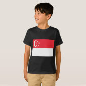 T-shirt Drapeau de Singapour (Devant entier)