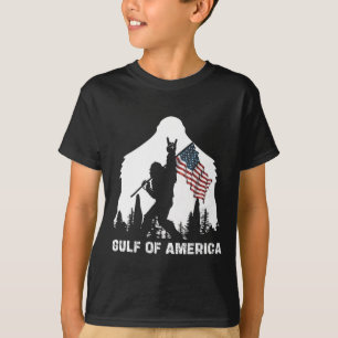 T-shirt Drapeau Du Golfe D'Amérique 2025 Drôle Vintage Des