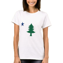 Drapeau du Maine 1901