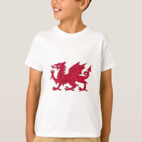 Drapeau du Pays de Galles - le dragon rouge -
