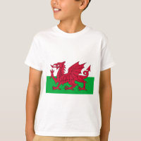 Drapeau du Pays de Galles - le dragon rouge -