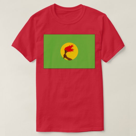 T-shirt Drapeau du Zaïre 1971 1997 (Design devant)