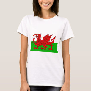 T-shirt Drapeau Gallois / Pays de Galles - Cymru haute qua