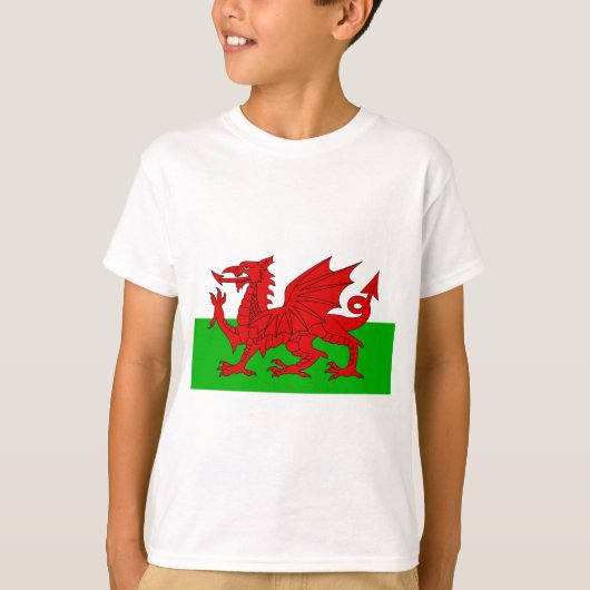 T-shirt Drapeau Gallois / Pays de Galles - Cymru Image de (Devant)
