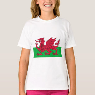 T-shirt Drapeau gallois (Pays de Galles) (Dragon gallois)