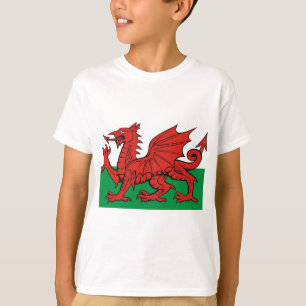 T-shirt Drapeau gallois, portez-le avec fierté