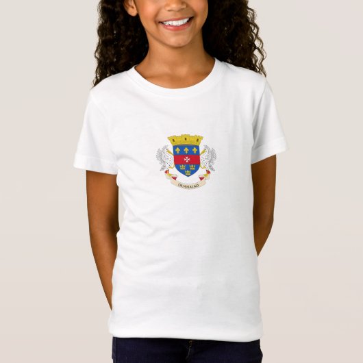 T-Shirt Drapeau Saint-Barthélemy (Devant)