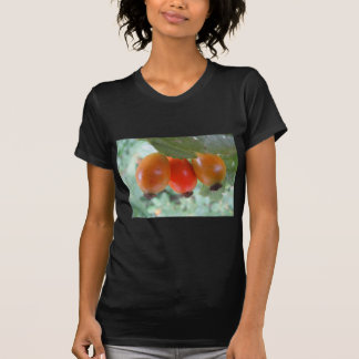 T-shirt Drei orange Hagebutten