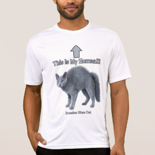 T-shirt Drôle de chat russe bleu - C'est mon humain