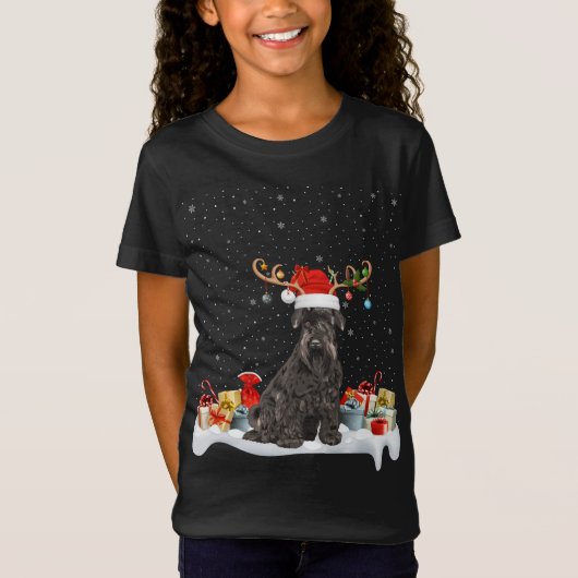T-Shirt Drôle Éclairage de Noël renne Santa Hat Schnauzer (Devant)