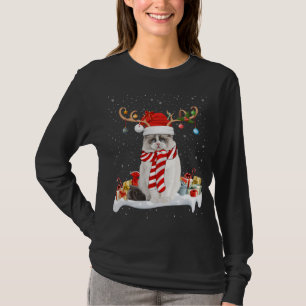 T-shirt Drôle Noël Éclairage Reindeer Santa Hat Ragdoll Ch