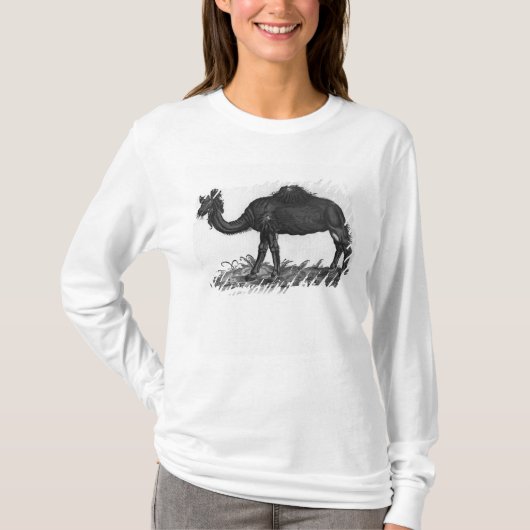 T-shirt Dromadaire, de 'Historial Animalium (Devant)