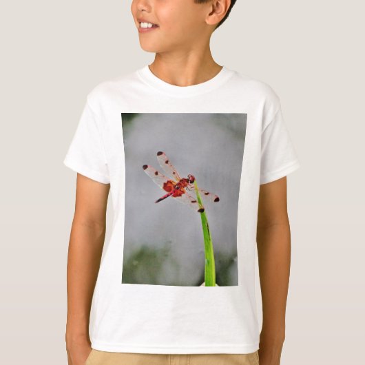 T-SHIRT DSC00029.JPG (Devant)