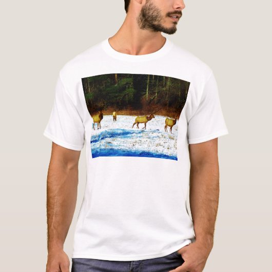 T-SHIRT DSC00131.JPG (Devant)