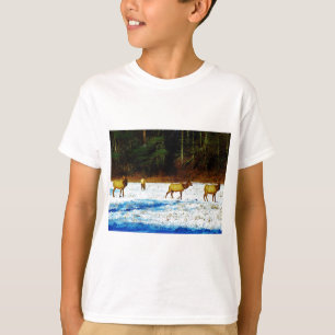 T-SHIRT DSC00131.JPG