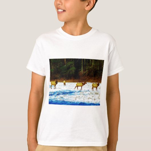 T-SHIRT DSC00131.JPG (Devant)