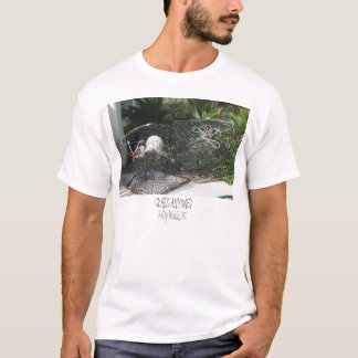 T-shirt DSC05220, MARCHE EN CRABE N'IMPORTE QUI ? , Plage