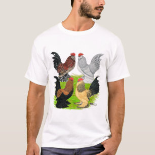 T-shirt D'Uccles quatre coqs