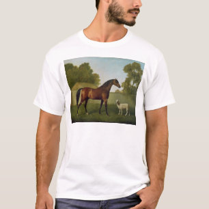 T-shirt Dungannon, la propriété de colonel O'Kelly