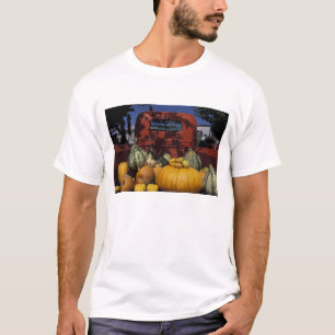 T-shirt É.-U., États-Unis, Nouveau-Mexique, Taos. Stand de