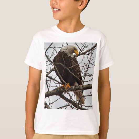 T-shirt Eagle chauve (Devant)