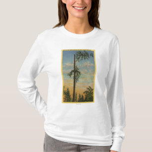 T-shirt Écrimage du sapin géant pour la navigation de 20