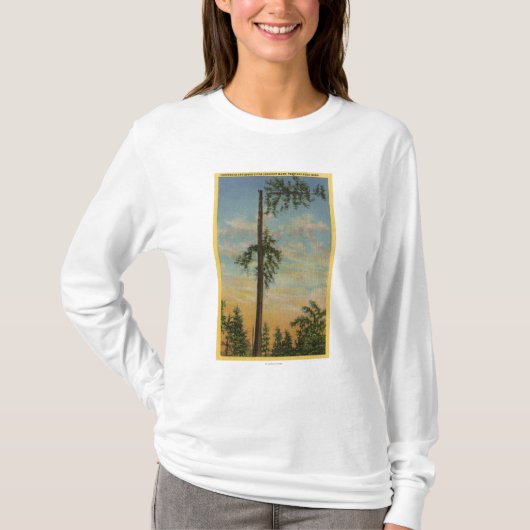 T-shirt Écrimage du sapin géant pour la navigation de 200 (Devant)