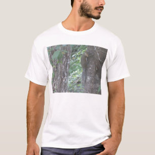 T-shirt Écureuil
