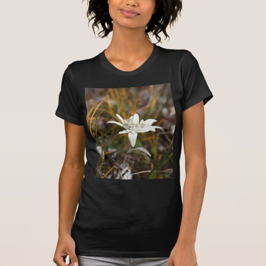T-shirt Edelweiss alpin (Devant)