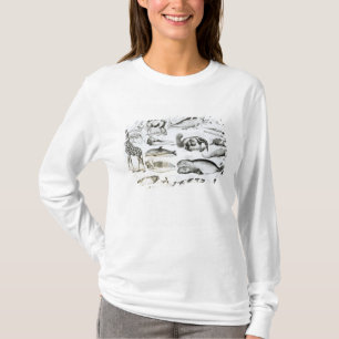 T-shirt Edentata de cétacé