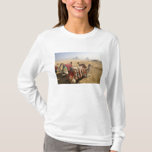 T-shirt Égypte, Le Caire. Chameaux au repos