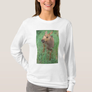 T-shirt élan, Alces alces, nouveau-né debout