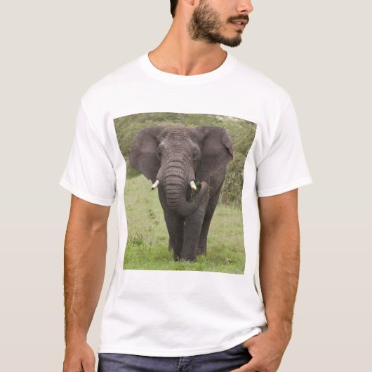 T-shirt Élémentaire Tanzanie Élément à cratère de Ngorongo (Devant)
