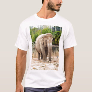 T-shirt Éléphant d'Asie