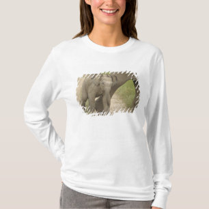 T-shirt Éléphant indien / asiatique et jeune, Corbett 2
