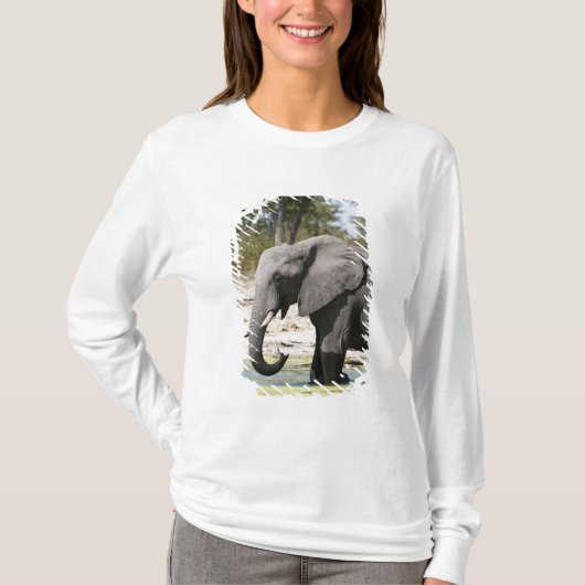 T-shirt Elephant (Loxodonta africana), Savute Channel (Devant)