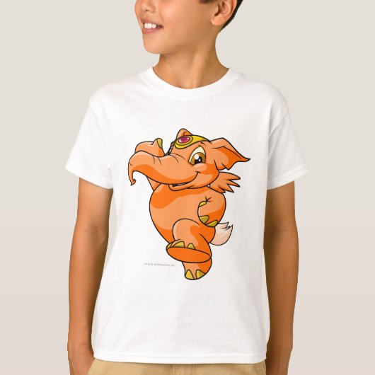 T-shirt Elephante Orange (Devant)