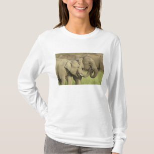 T-shirt Eléphants d'Asie indienne