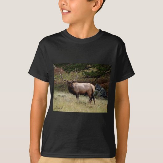 T-shirt Elk dans le désert (Devant)