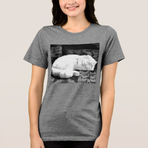 T-shirt En Tri-matière Chat perse blanc couché