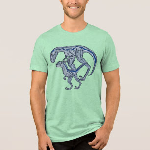 T-shirt En Tri-matière Chemise de rapace
