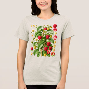 T-shirt En Tri-matière Illustration Botanique Vintage de Framboise