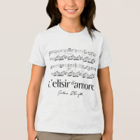 L'elisir d'amore 2