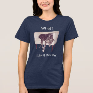 T-shirt En Tri-matière Lévrier dormant dans un fauteuil Mignon