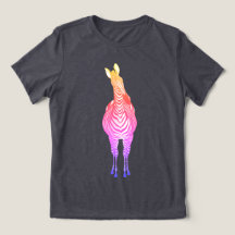 Rainbow Zebra | Montrez Vos Rayures ! Personnalisa