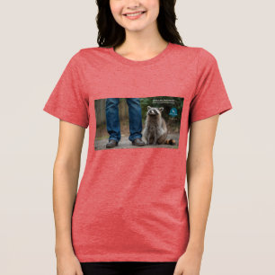 T-shirt En Tri-matière Raton laveur ivre